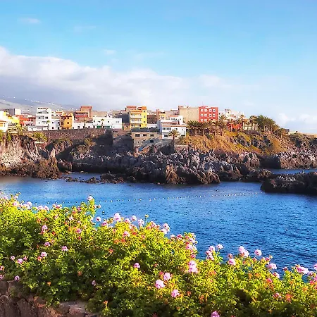 Alcala Center * Alcala (Tenerife)